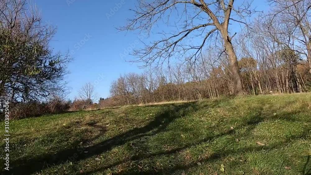 Point of view from off road vehicle through the woods and along a field and into a clearing Point of view from off road vehicle through the woods and along a field and into a clearing