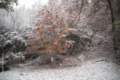 Invierno