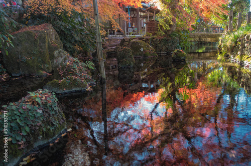 滋賀県米原市醒ヶ井の地蔵川と紅葉の秋景色