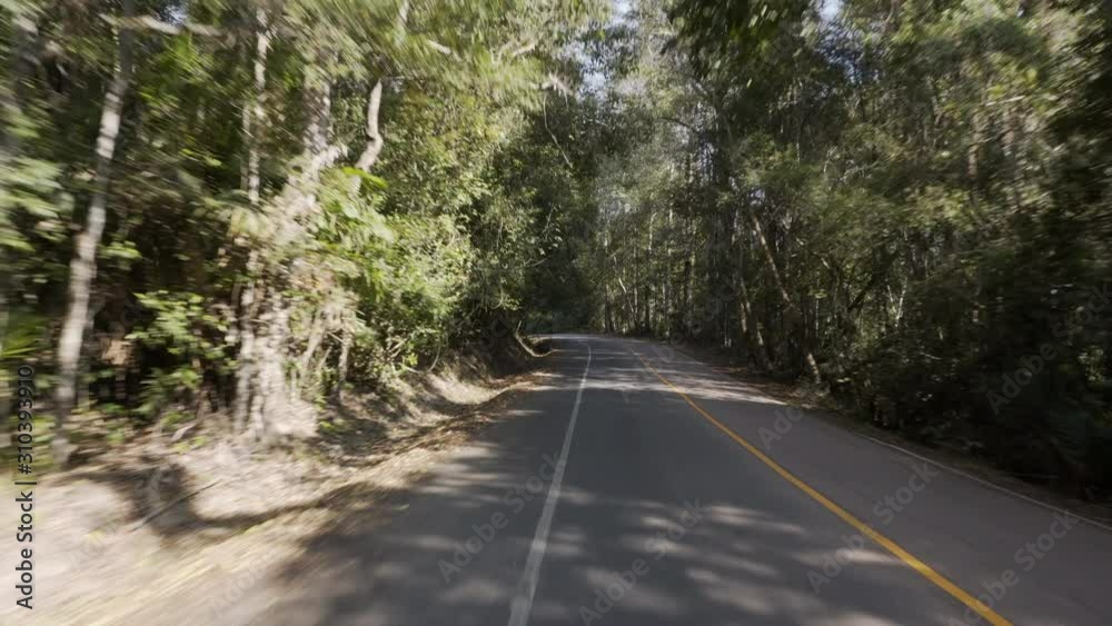 Road trip around a National Park driving a black car among natural areas of forest and jungle full of trees and greenery Road trip around a National Park driving a black car among natural areas of forest and jungle full of trees and greenery