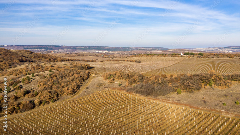 Naklejka premium Autumn, mountains, vineyards