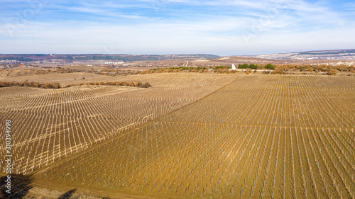 Autumn, mountains, vineyards