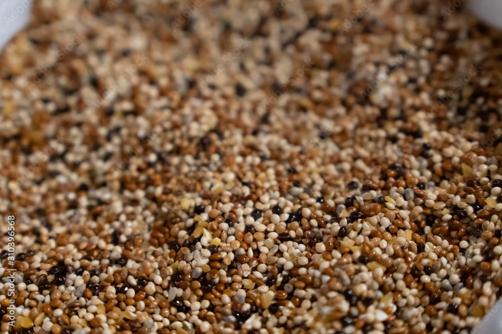 Interesting of Grain Seed as same as the sand Interesting of Grain Seed as same as the sand