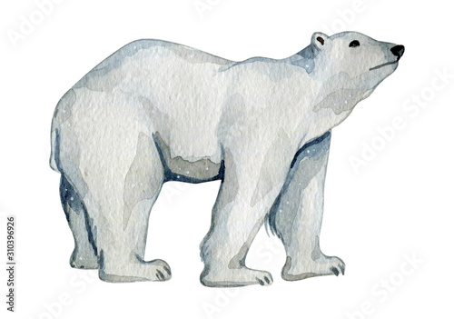 Watercolor cute white polar bears in the north