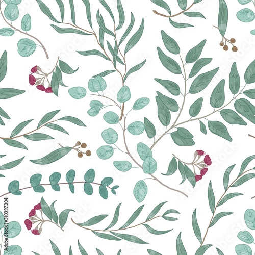 Eucalyptus branches hand drawn vector seamless pattern