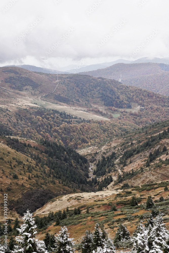 Fototapeta premium The first snow in the Ukrainian mountains, clouds low mountains