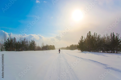 A man walks along a winter road in the forest. Snow blizzard and the sun. Change of weather.