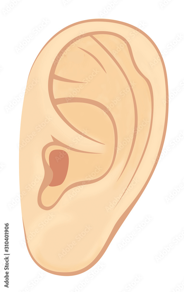 Left ear of man or woman. Illustration with volume elements. Isolated on a white background. Left ear of man or woman. Illustration with volume elements. Isolated on a white background.