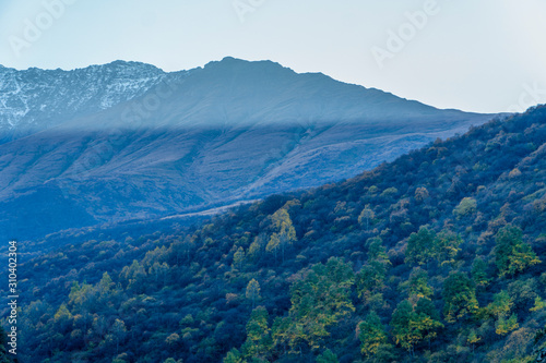 North Ossetia. Mountain peaks in the fall. Orange tree crowns. Falling foliage.