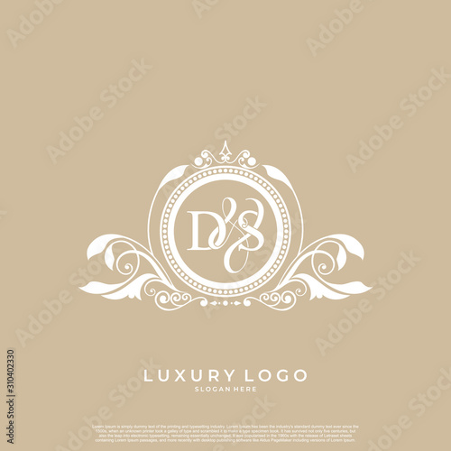Logo Initial letter DS luxury vector mark, gold color elegant classical symmetric curves decor. editable file EPS10.