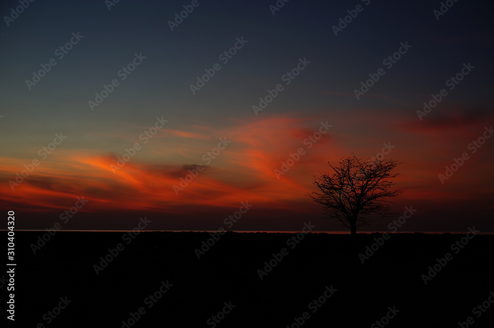 Fototapeta premium sunset and sunrise is the beauty of nature that is at the end of the night and evening gives the perfect color to the sky so that the clouds look beautiful to look at.