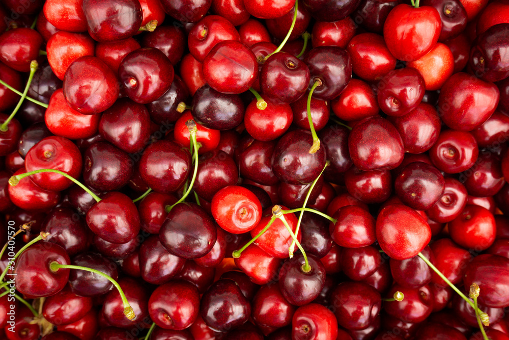 Red Cherries. pile of ripe cherries with stalks. Red Cherries. pile of ripe cherries with stalks.