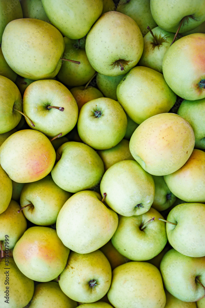 Background of green apples. Lots of green apples. Beautiful background of green apples Background of green apples. Lots of green apples. Beautiful background of green apples