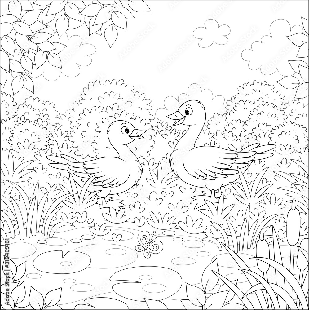 Wild geese near a small lake on a meadow on a beautiful summer day, black and white vector cartoon illustration for a coloring book page Wild geese near a small lake on a meadow on a beautiful summer day, black and white vector cartoon illustration for a coloring book page