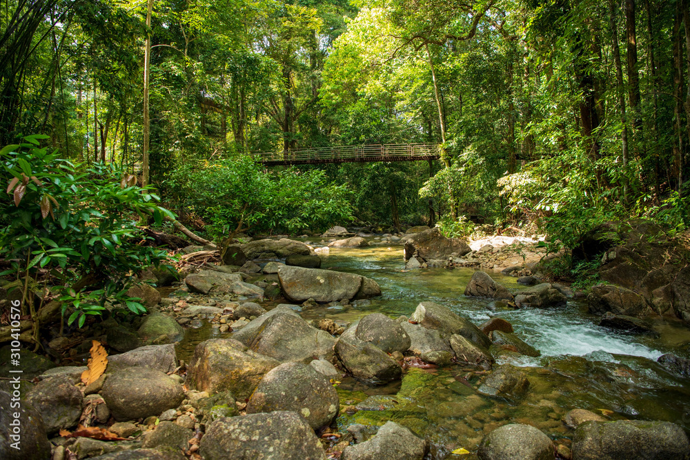 Beautiful national park in Thailand, Phuket. Beautiful national park in Thailand, Phuket.