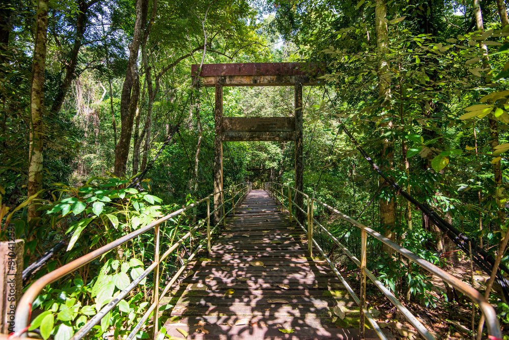 Beautiful national park in Thailand, Phuket. Beautiful national park in Thailand, Phuket.