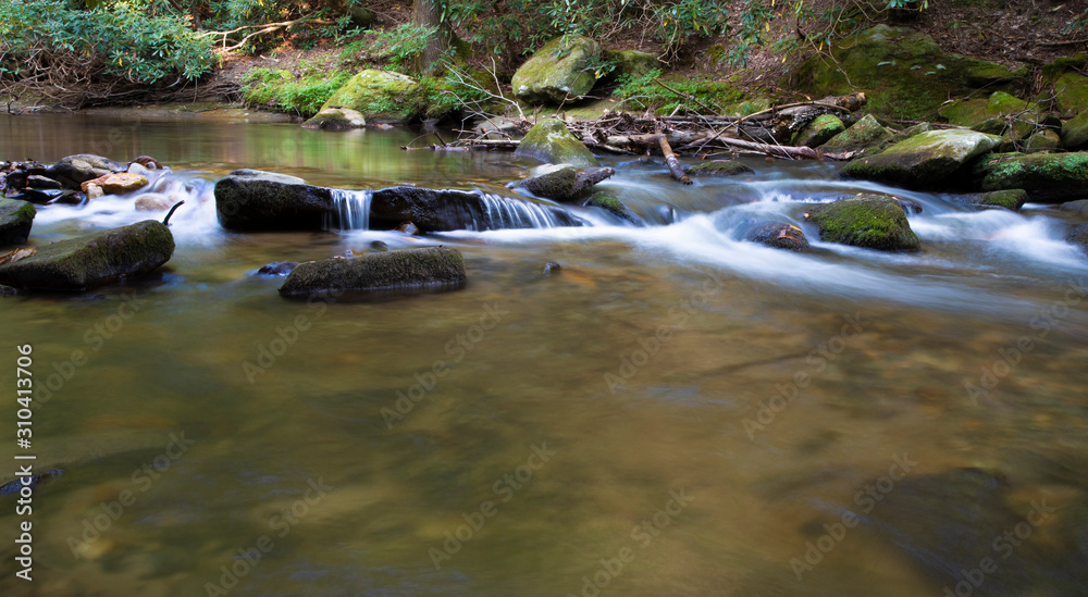 Peaceful stream in North Carolina Peaceful stream in North Carolina