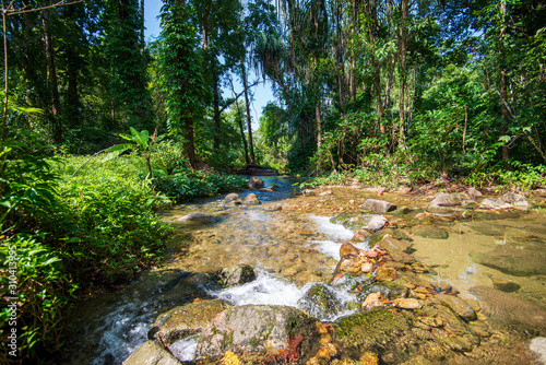 Beautiful national park in Thailand  Phuket.