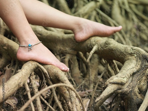 Obraz na płótnie Woman's Bare Feet On Roots