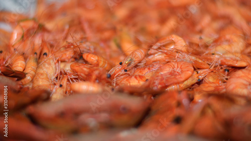 Galician cooked shrimp. This simple recipe is one of the most sought-after seafood at Christmas meals. photo