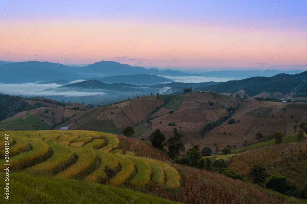 Beautiful rice terraces in the morning with fog environment in Pa Bong Piang, the rural village in Chiangmai, Thailand