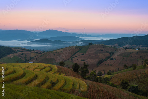Beautiful rice terraces in the morning with fog environment in Pa Bong Piang, the rural village in Chiangmai, Thailand