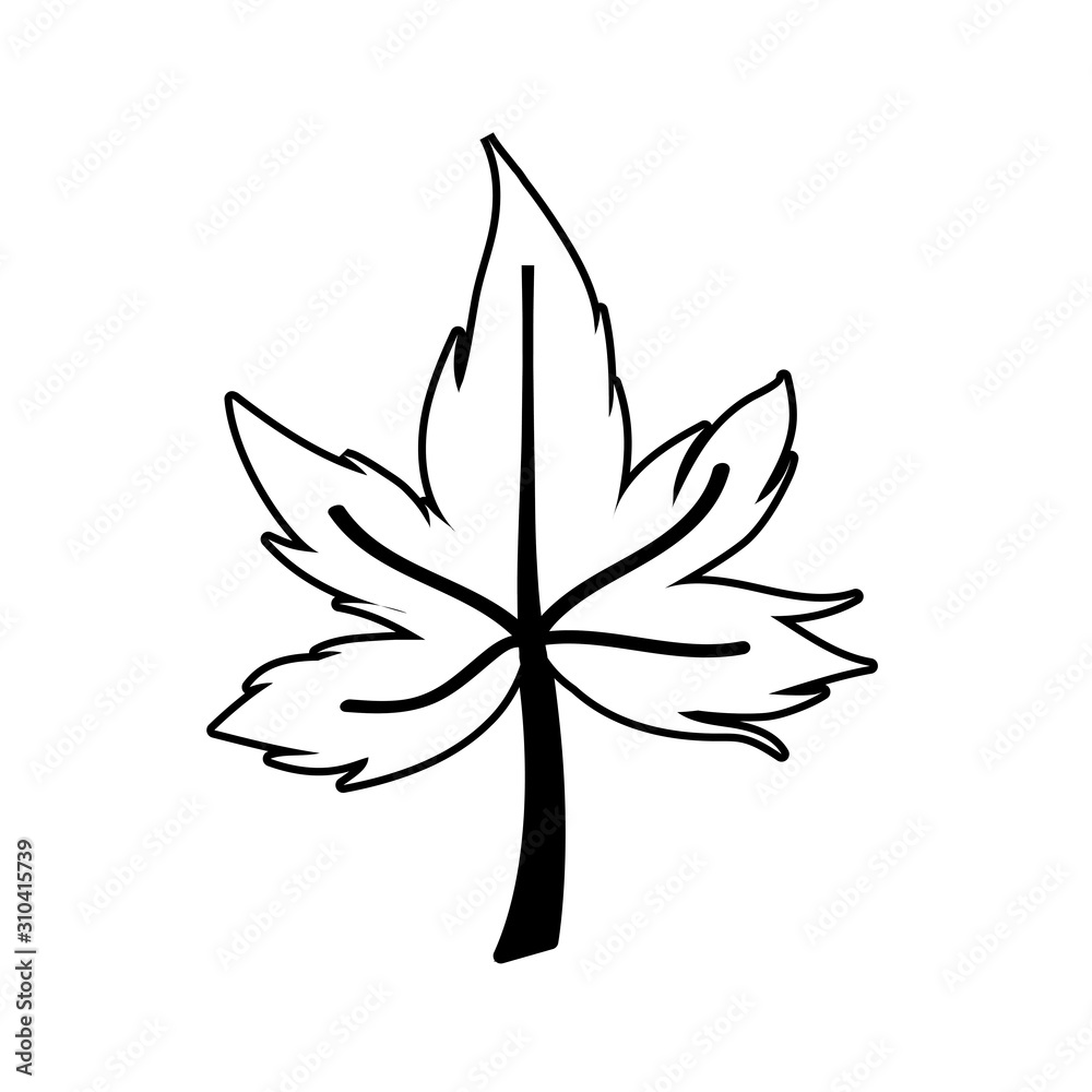 Isolated maple autumn leaf vector design Isolated maple autumn leaf vector design