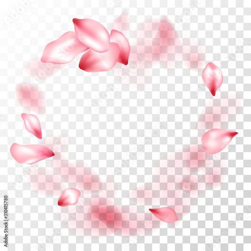 Pink sakura petals falling vector graphics.