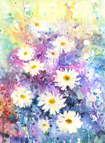 Garden daisies. White flowers on a multicolor background.  Botanical watercolor illustration on blue violet  background for fashion textile design, home decor, background,postcards,garden,summer theme