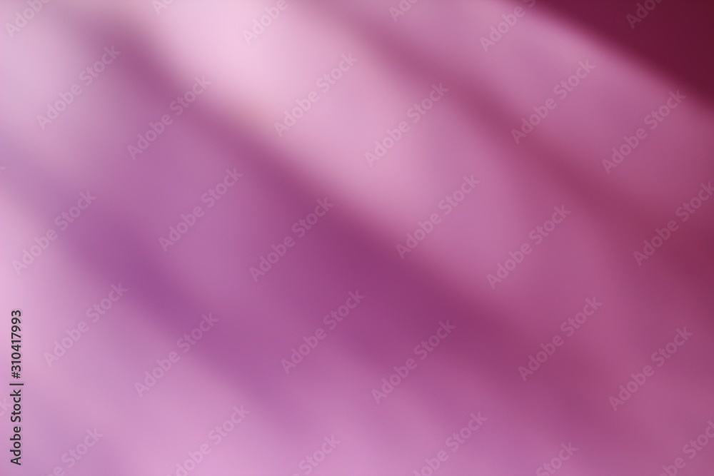 Real shadow palm tree falls wall background pink Real shadow palm tree falls wall background pink