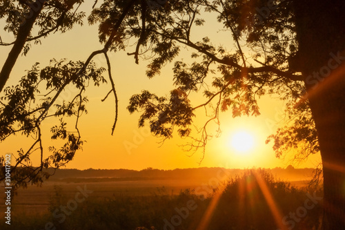 An alley along a dirt road in the sun. Country road at sunset.