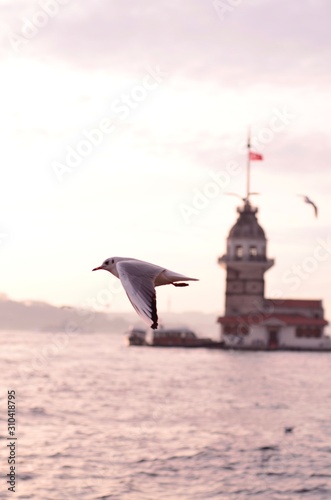 Fototapeta Naklejka Na Ścianę i Meble -  Maiden's Tower - Kız Kulesi
