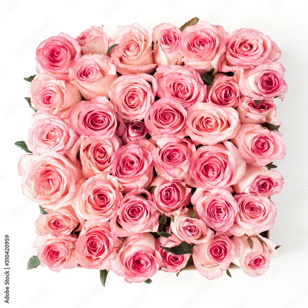 Pink rose flower buds and leaves on white background. Flat lay, top view creative square floral concept. Pink rose flower buds and leaves on white background. Flat lay, top view creative square floral concept.