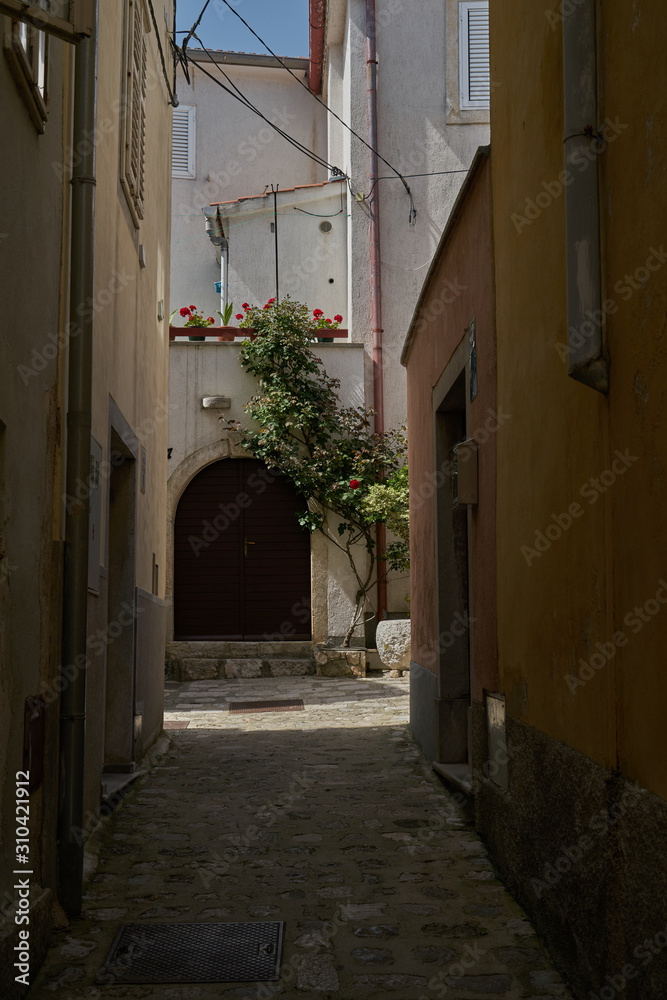 The rose at the end of the street on the island krk vrbnik city