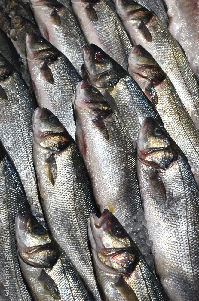 Obraz premium Whole Fresh Sea bass fish stacked for sale, cooled on ice at the fish market, vertical composition, shiny scales