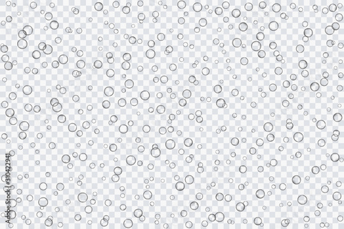 Air bubbles  oxygen  champagne crystal clear  isolated on a transparent background of modern design. Vector illustration of EPS 10.