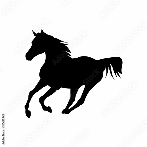 Fototapeta Naklejka Na Ścianę i Meble -  Horses black silhouette. Equine  vector illustration.