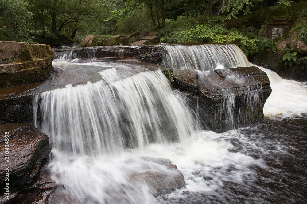 Obraz premium 14580008