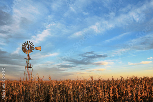 Texas style westernmill windmill at sunset, with a golden colored grain field in the foreground, Argentina