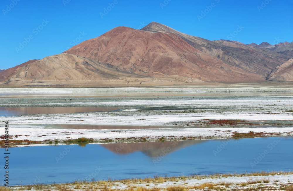Landscape view of Tso Kar salty lake with wild ass at foreground in Ladakh, India