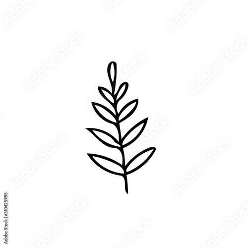 leaf in hand drawn style. Scandinavian simple doodle style. summer, autumn, nature