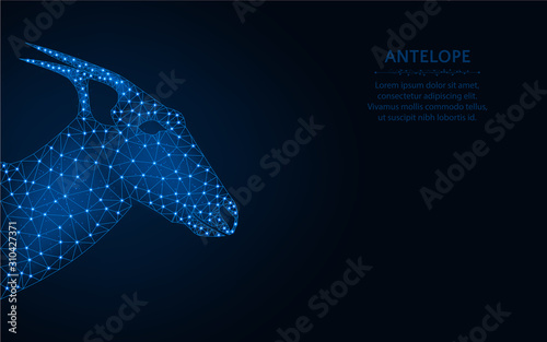 Antelope polygonal vector illustration