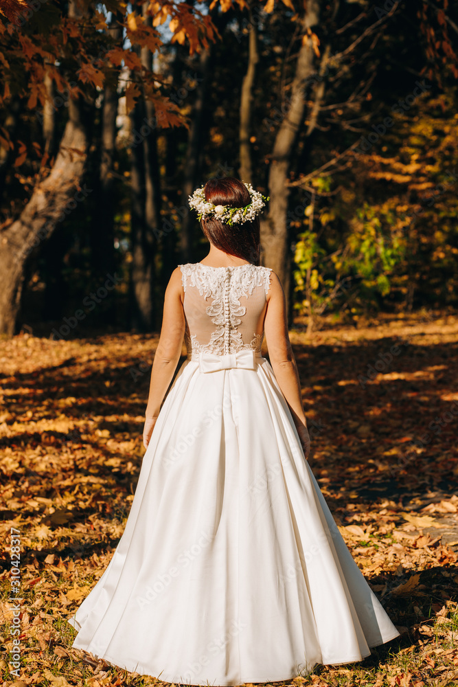 The bride in an elegant dress. Dress details
