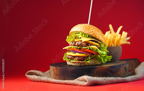 Tasty burger with double beef and french fries. Copy space.