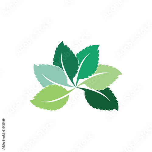 Mint leaves flat vector color icon