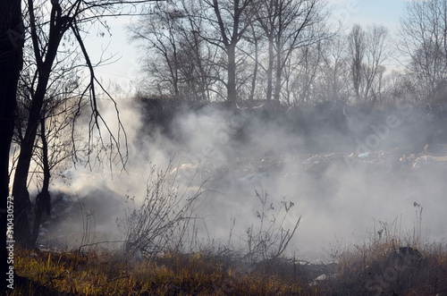 Nature near Ukrainian capital. Trash burning. Air pollution. Environmental contamination. Illegal junk dump. Near Kiev, Ukraine
