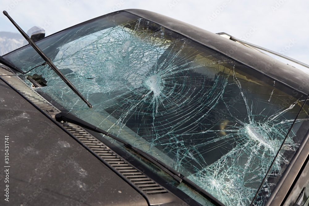 Fototapeta premium 16310047