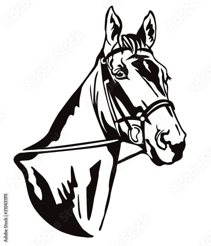 Vector decorative horse 1