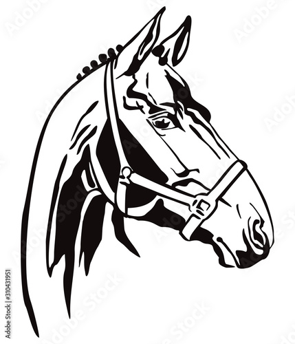 Vector decorative horse 3