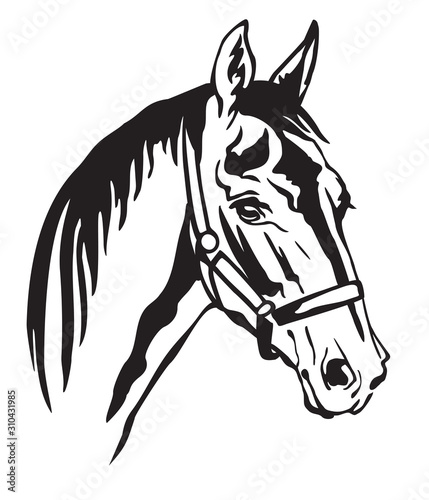 Vector decorative horse 6